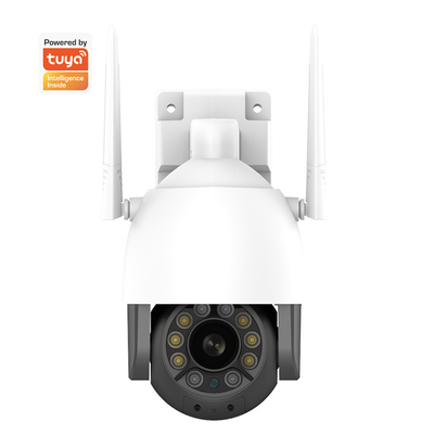 Wi-Fi al aire libre de Whalecam 1080P de la cámara de seguridad del Smart Home con la cacerola/la cámara inclinable de Wifi de la detección de movimiento