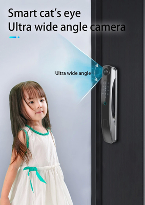 Cerradura de puerta de reconocimiento facial inteligente de alta calidad soporta 6 métodos de desbloqueo
