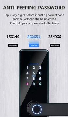 Glomarket Smart Cerradura Fechadura Digital Tuya Ttlock Bloqueo de tarjeta RFID Contraseña Impresión digital Bloqueo de puerta inteligente