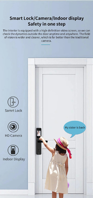 Glomarket Tuya Wifi huella digital contraseña cerradura de puerta inteligente control remoto cerradura inteligente con cámara
