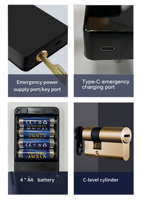 Glomarket Tuya TTlock huella digital contraseña apartamento habitación de hogar cerraduras inteligentes seguridad cerradura de puerta de madera inteligente