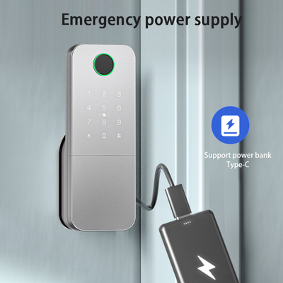 Glomarket Exterior Electrónica Inteligente de huella digital contraseña Cerradura digital Tuya Ttlock Cerradura de puerta inteligente