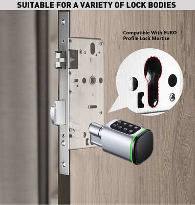 Glomarket Tuya Ttlock Smart Digital Cerradura de puertas sin llave Combinación de cilindros de llave de puerta contraseña y tarjeta Cerradura electrónica cilindros de llave inteligente