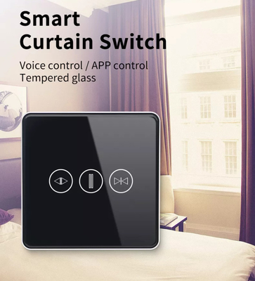 Interruptor de cortina inteligente Wi-Fi/Zigbee Control de voz Asistente de Google Interruptor de pantalla táctil estándar de la UE APP Interruptor de puerta de garaje