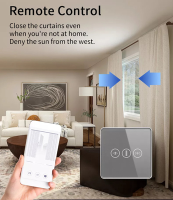 Interruptor de cortina inteligente Wi-Fi/Zigbee Control de voz Asistente de Google Interruptor de pantalla táctil estándar de la UE APP Interruptor de puerta de garaje